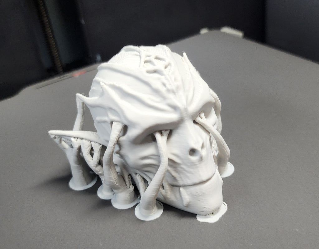 Mummified Elf Skull