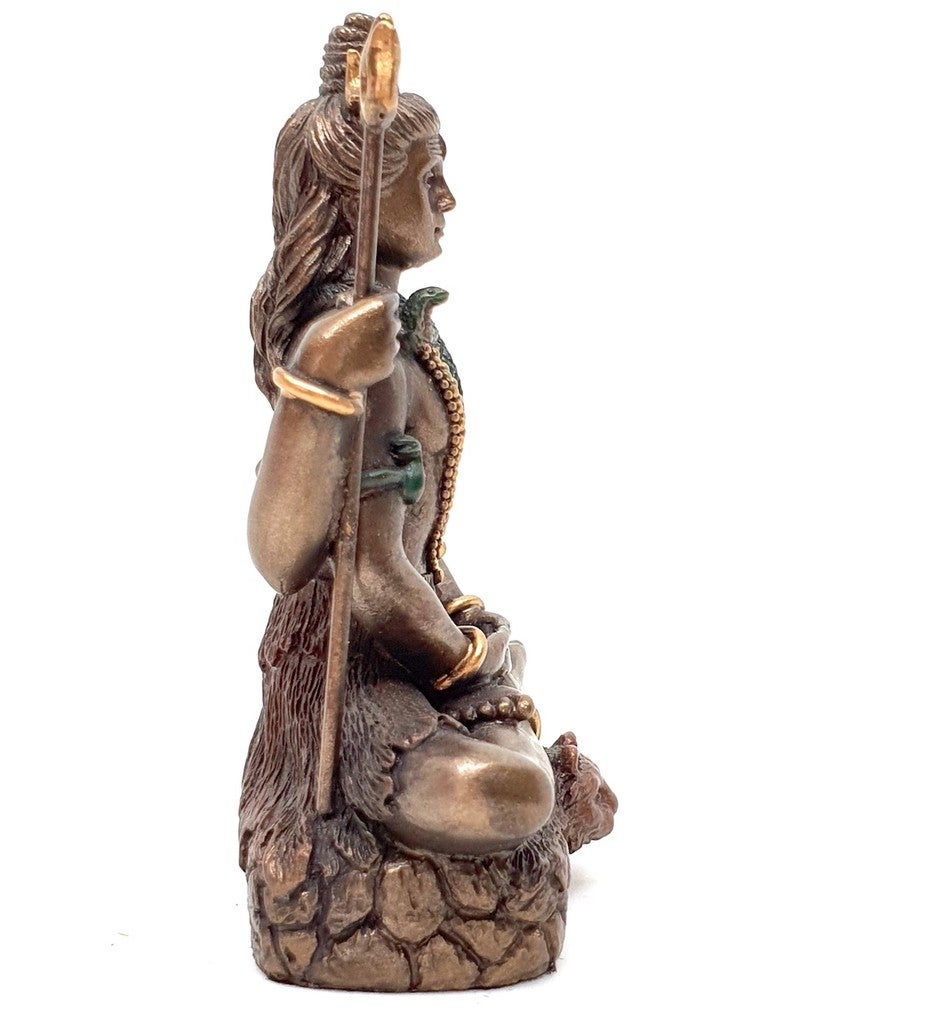 Shiva in Meditation on Tiger Skin