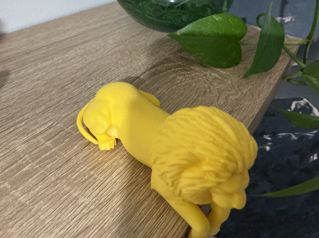 lion sitting on edge