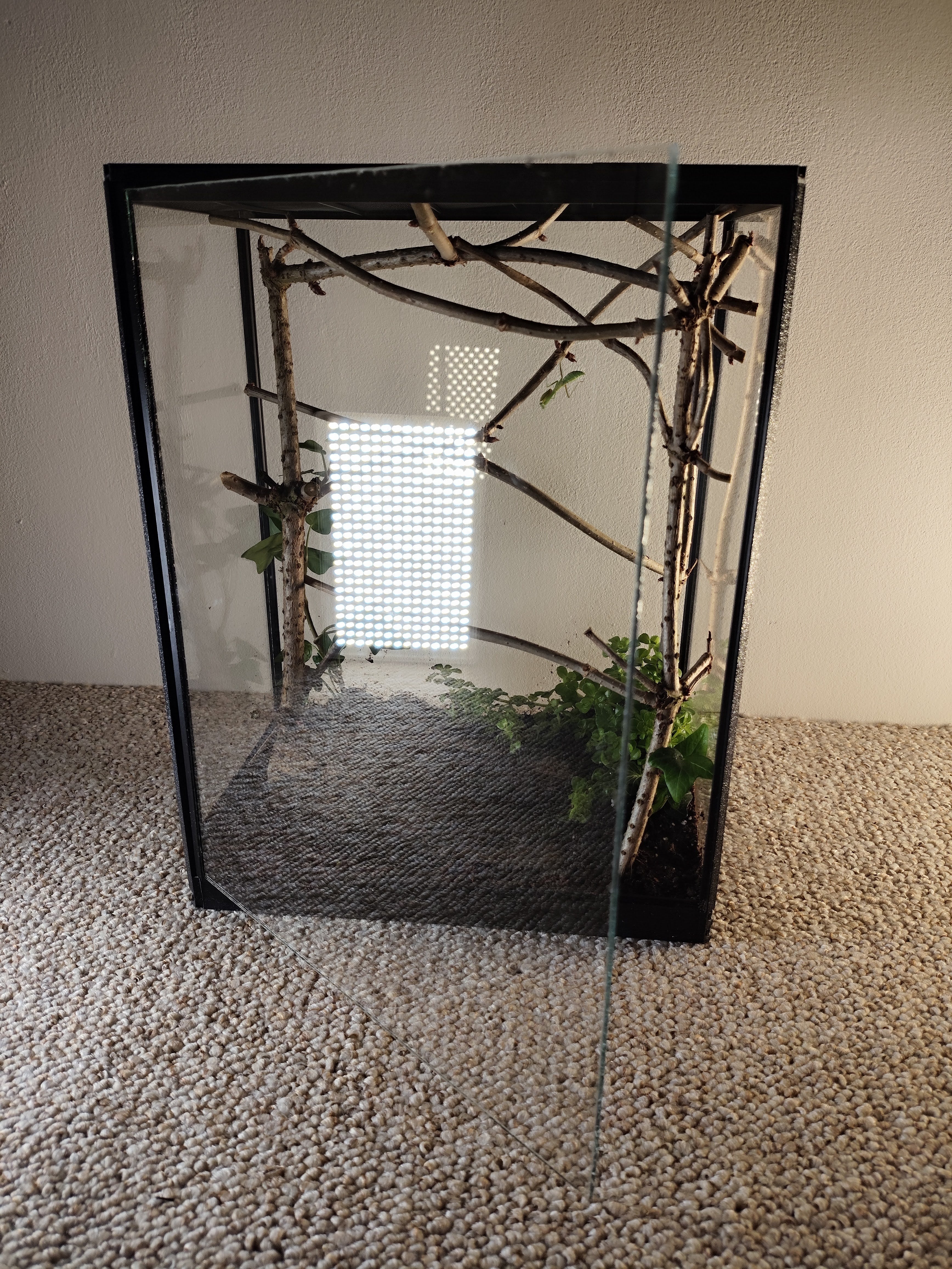 Terarrium 32 × 25 × 15 cm - Insectarium