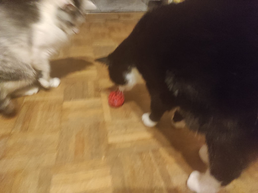 Cat toy flush poop ball