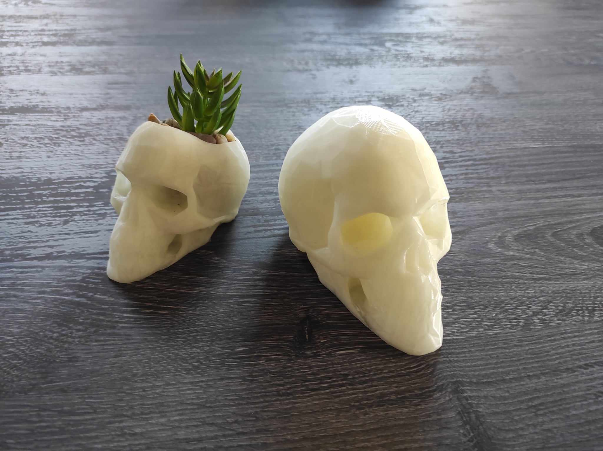 Low Poly Skull Planter