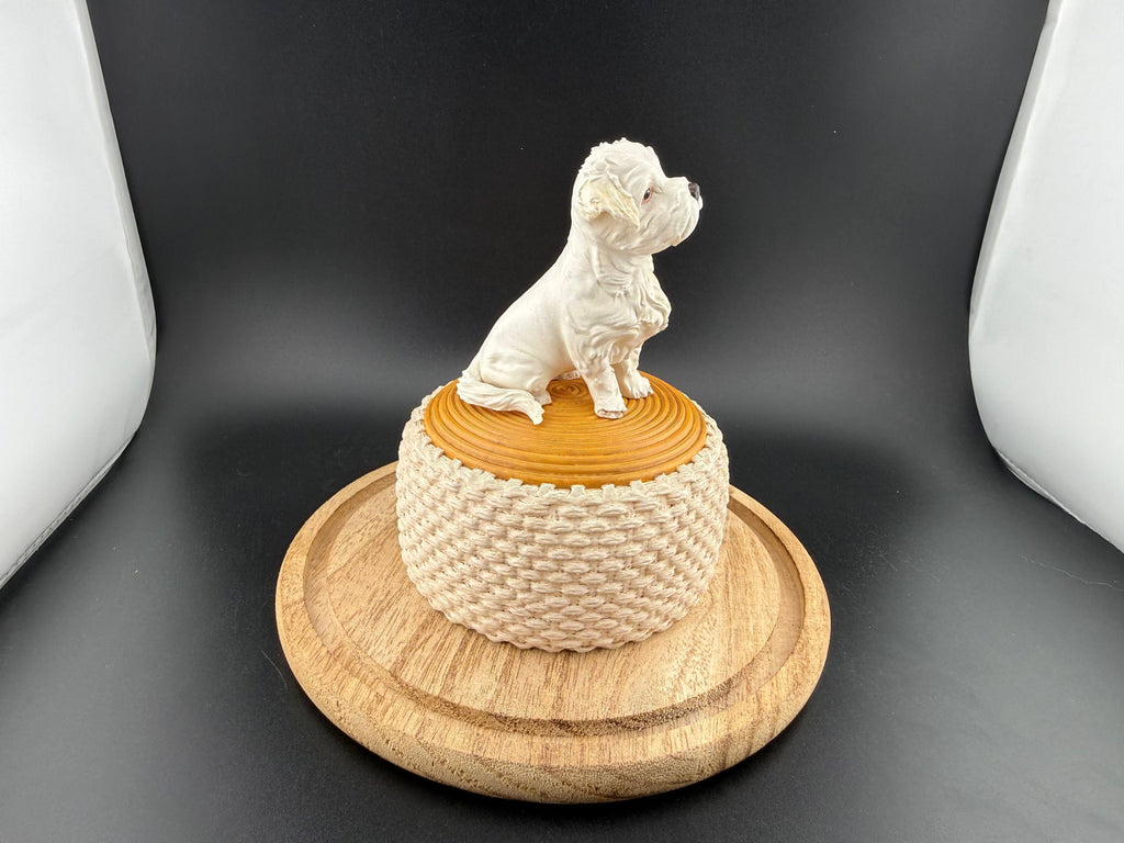 Maltese dog on the puff