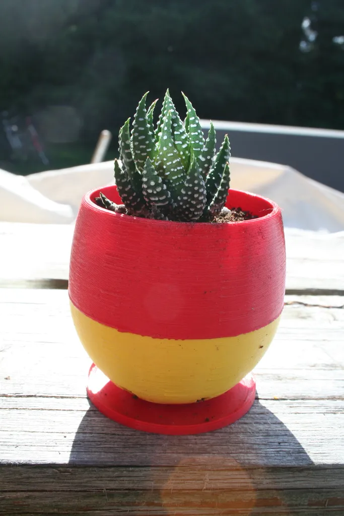 Simple Small Succulent Planter