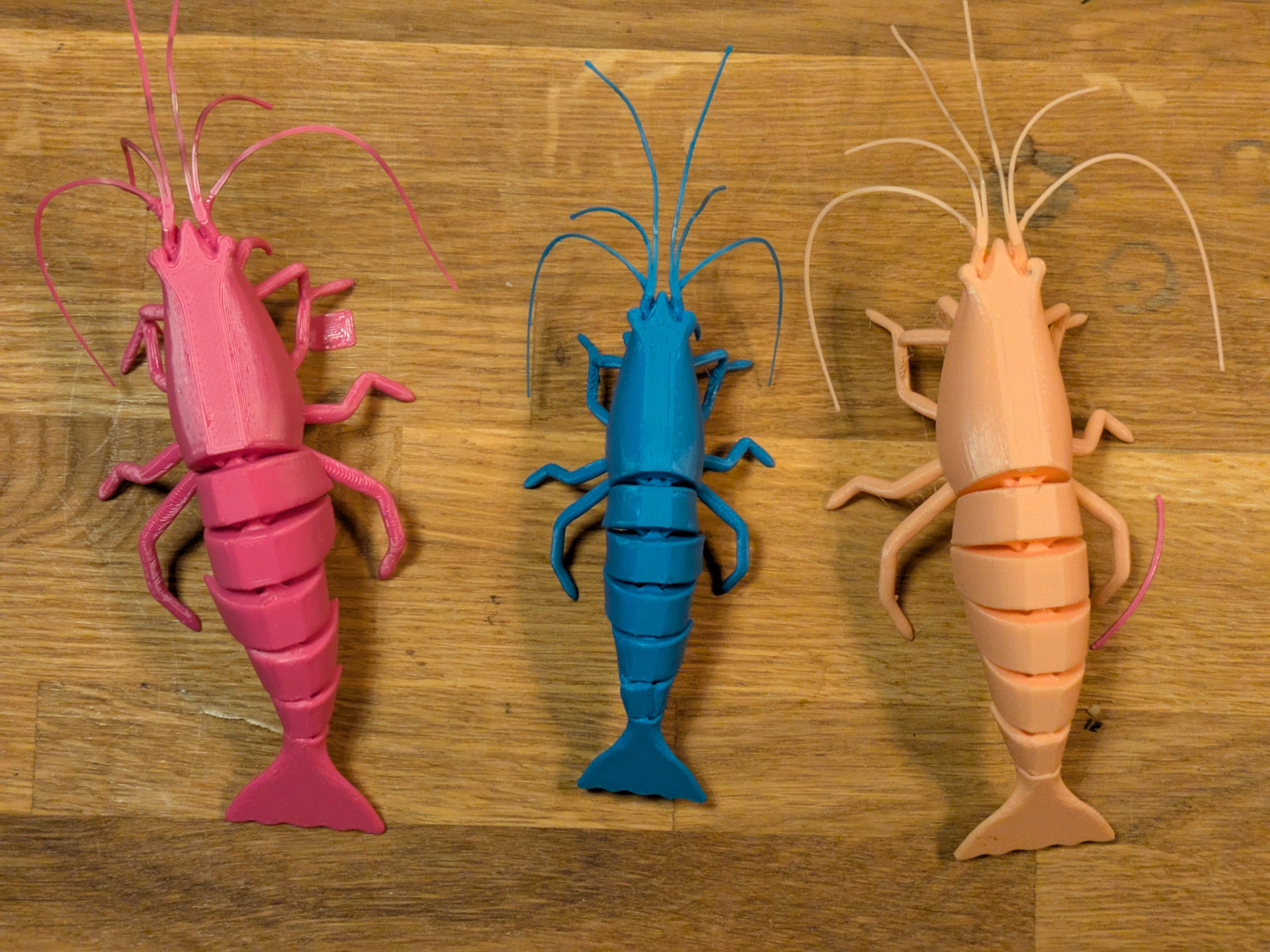 Articulated Shrimp