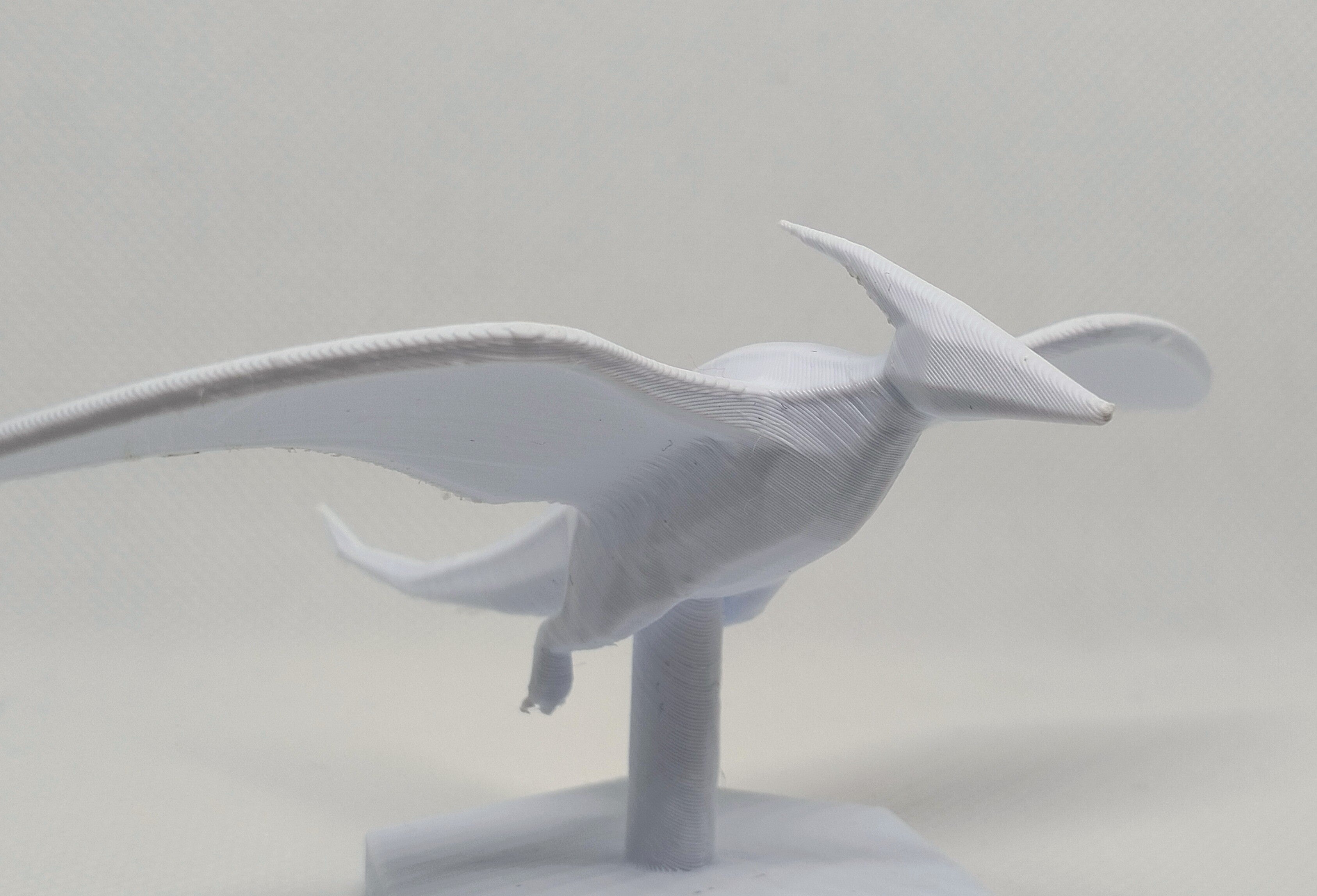 Flying Pteranodon Dinosaur Figure. For Painting.