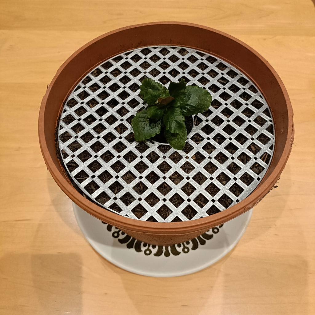 Pet-resistant Plant Protector