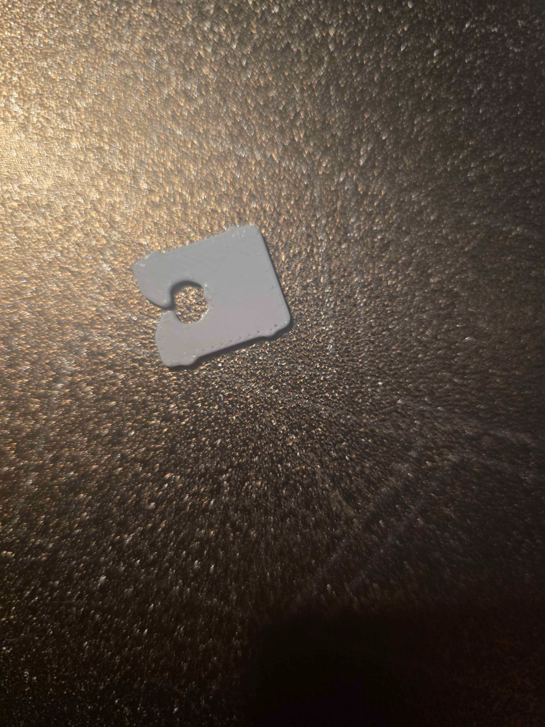 BREAD CLIPS!!! A Growing Collection of Occlupanids