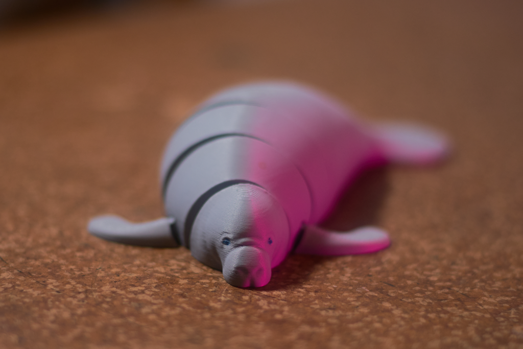 Articulated Manatee