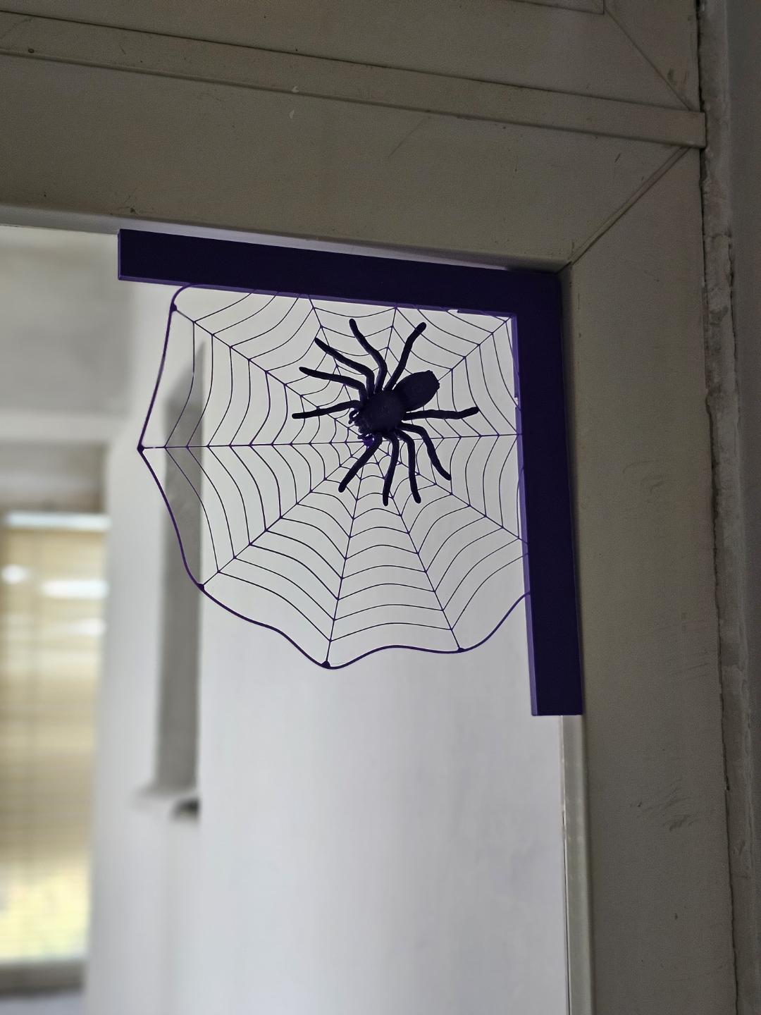 Spider in web