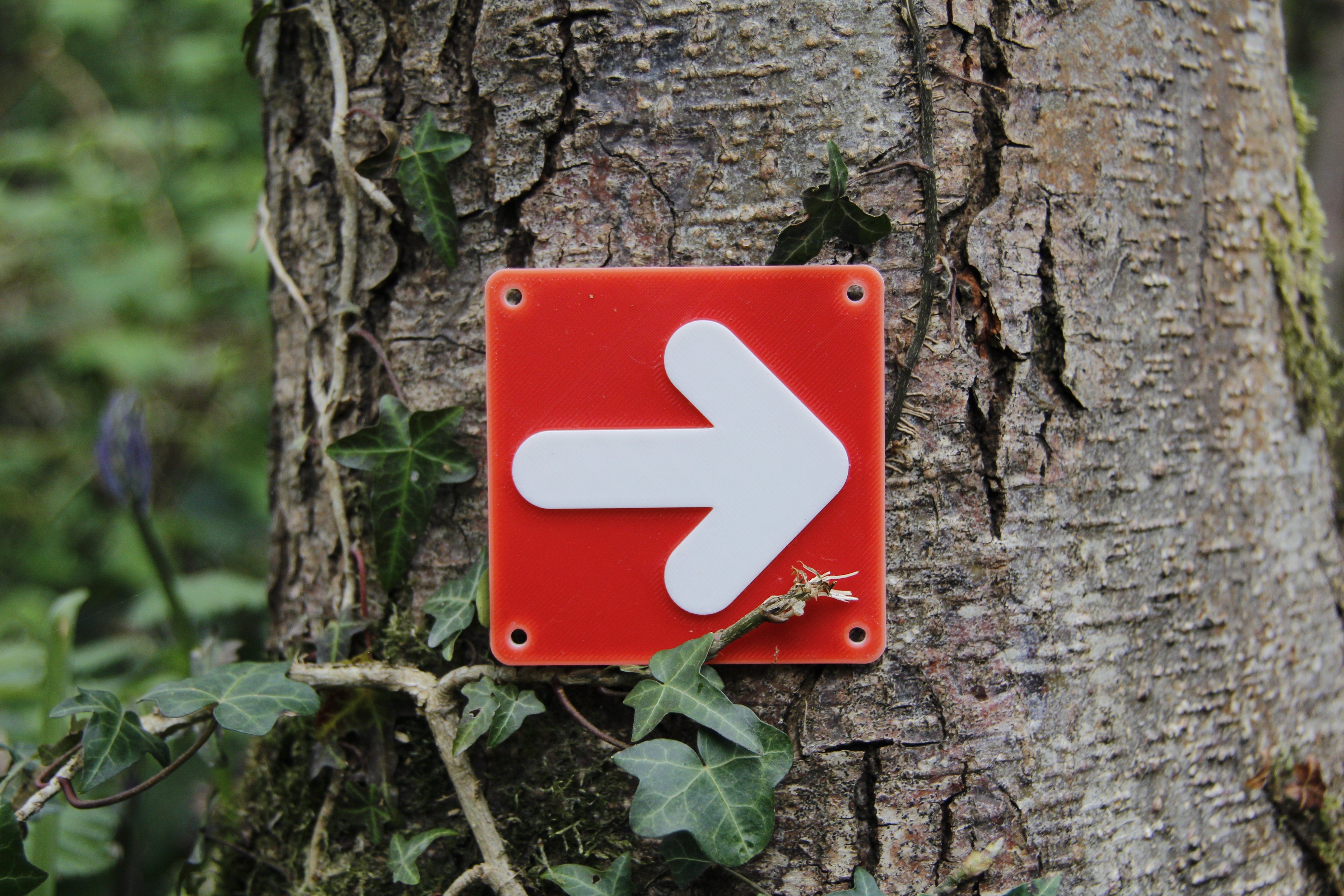 7 Different trail markers No ams+ams version