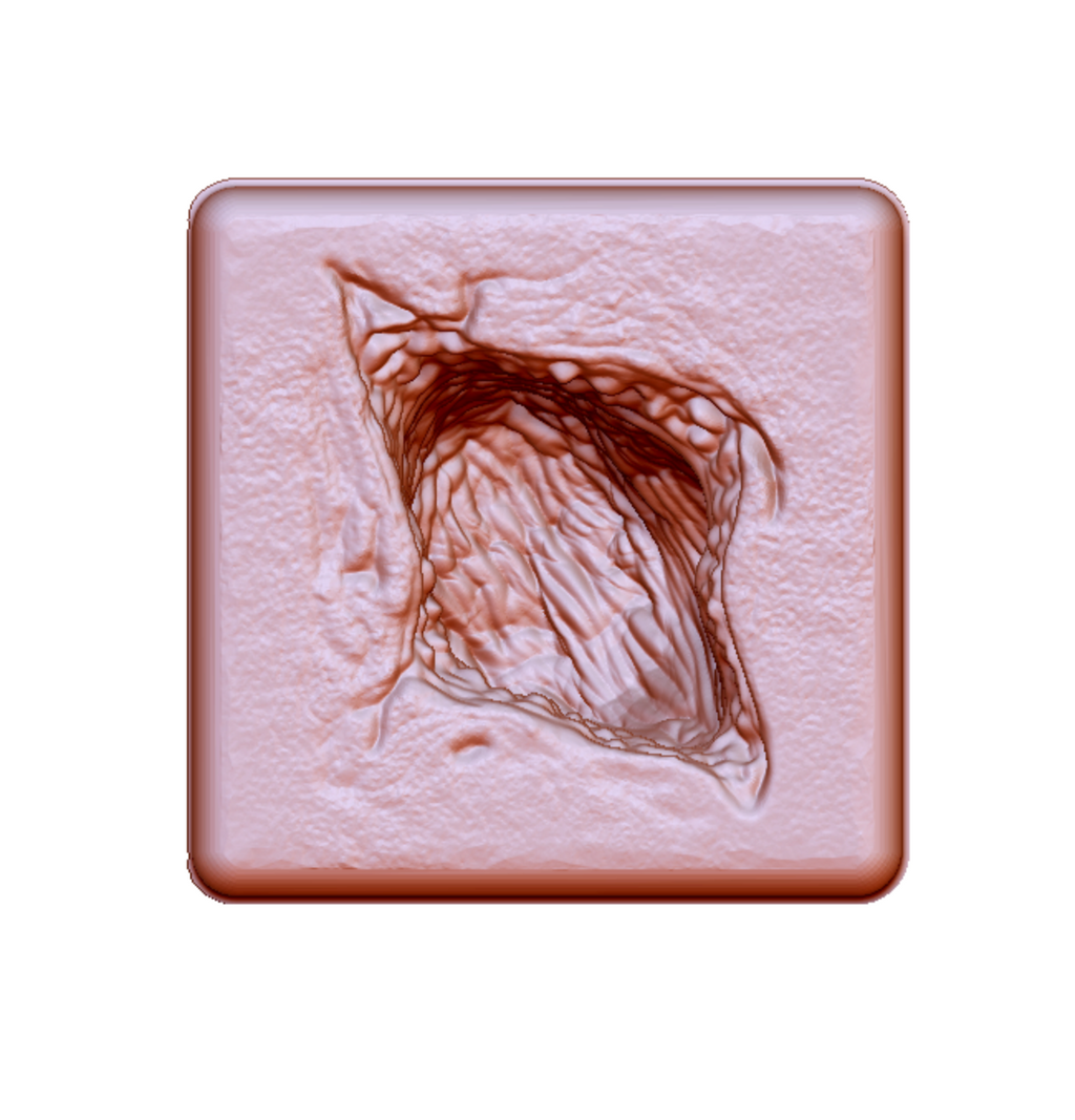 Silicone Wound Packing Trainer Mold - Laceration