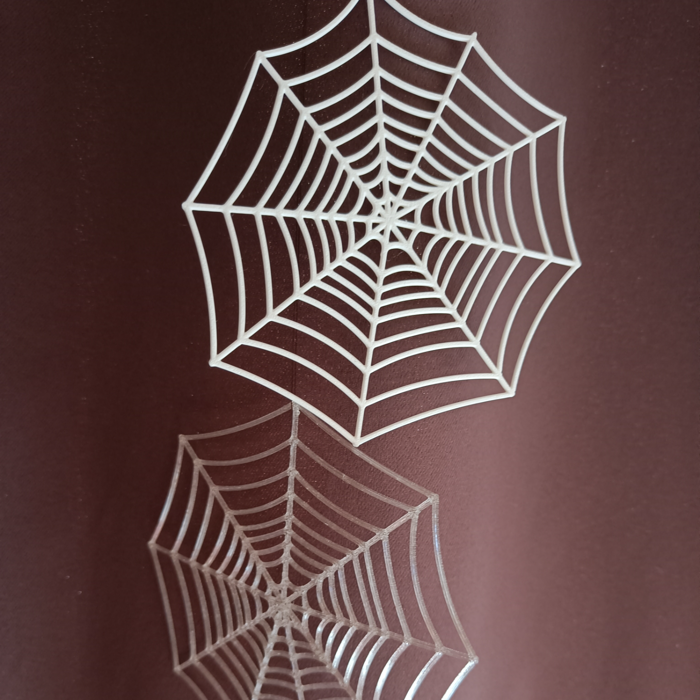 Halloween spider Web