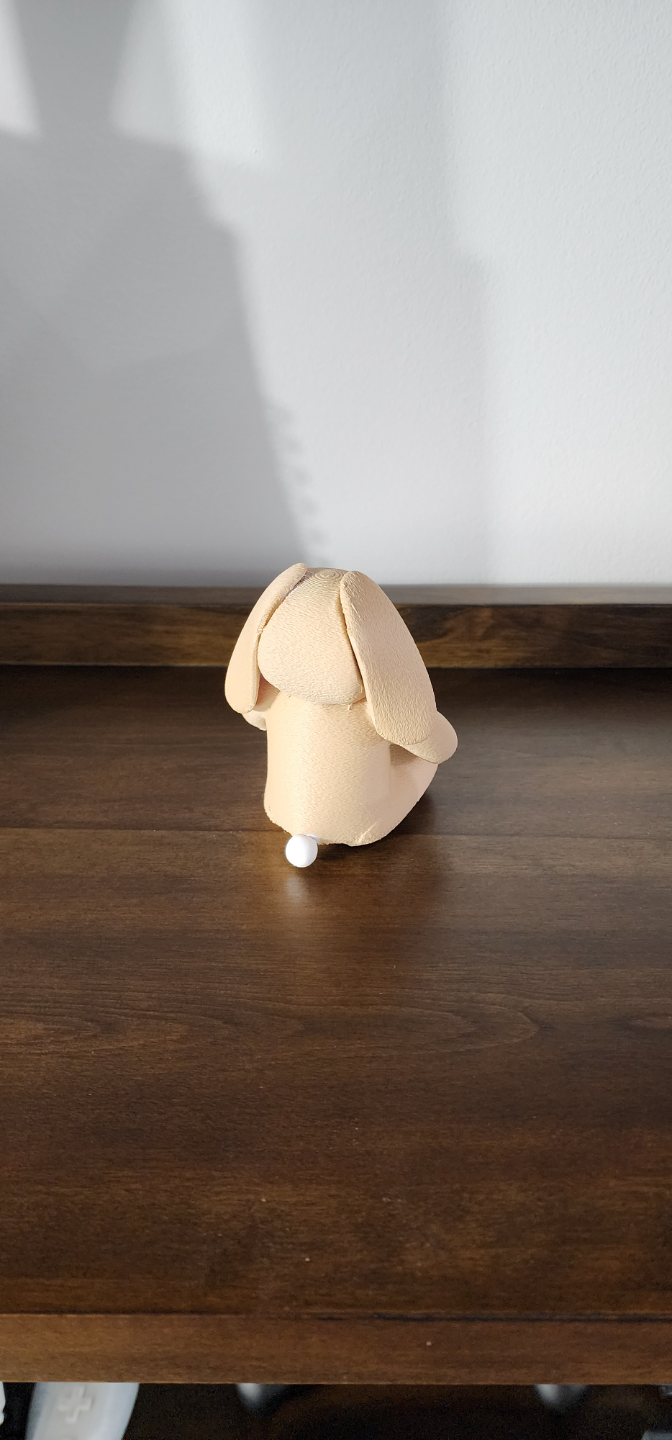 Cute Fuzzy Bunny