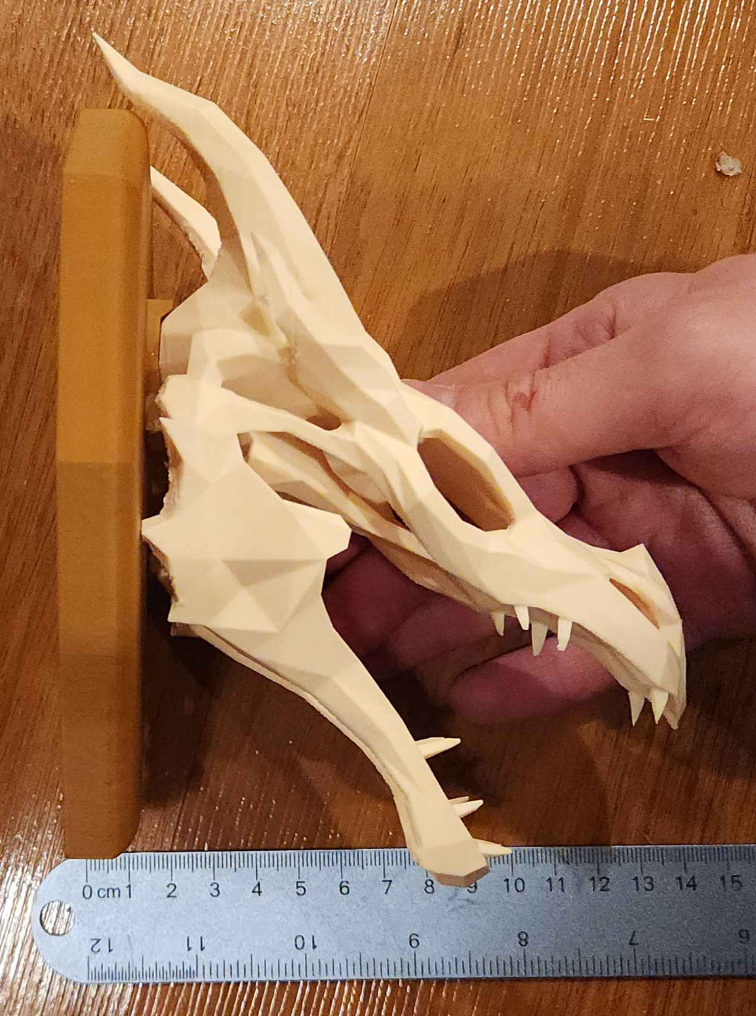 Skyrim Dragon Skull Wall Mounted