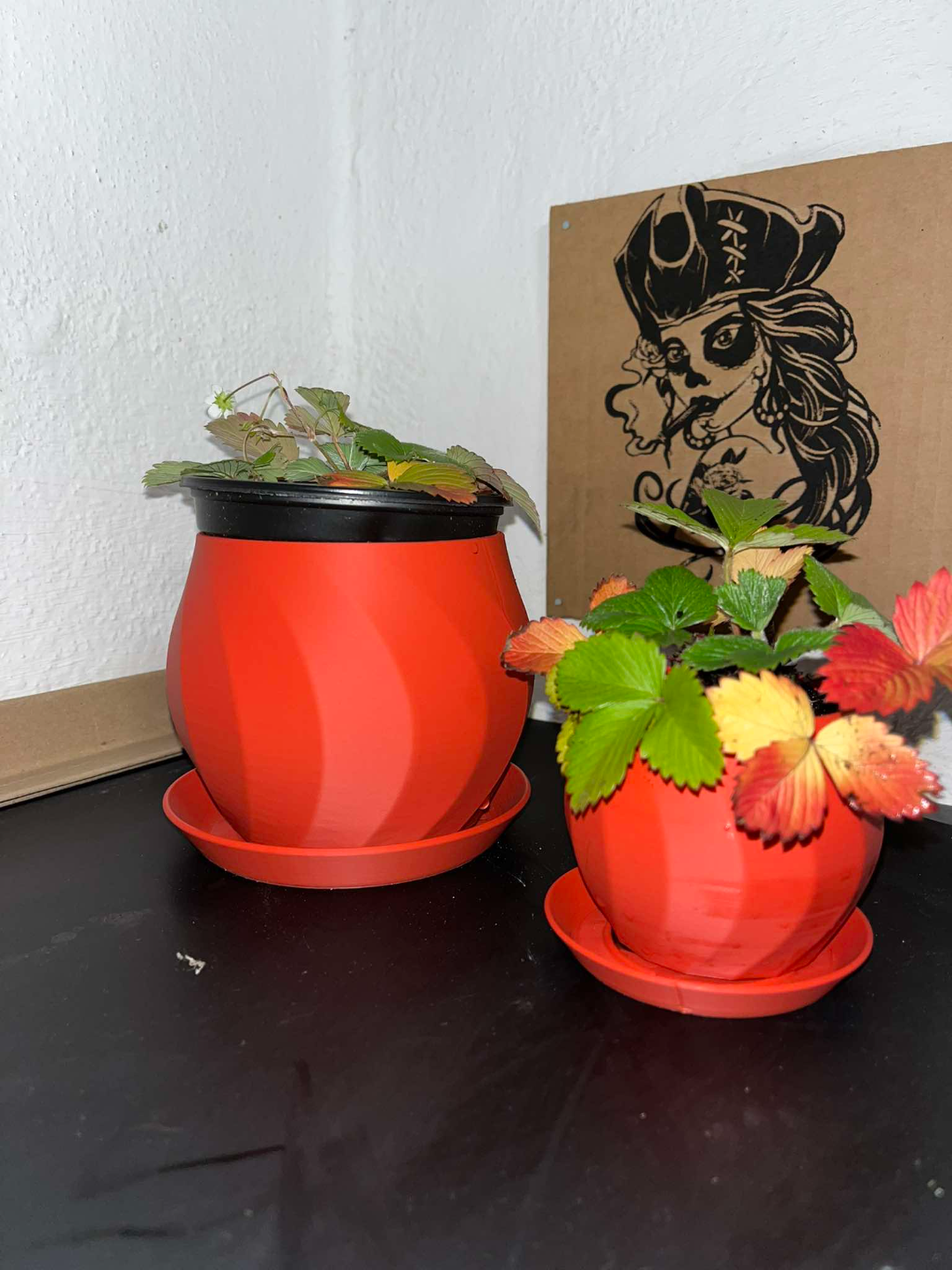 A flower pot with a tray for bouquets, bonsai