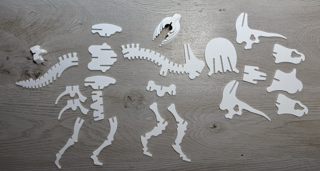 Triceratops Dinosaur Skeleton Puzzle