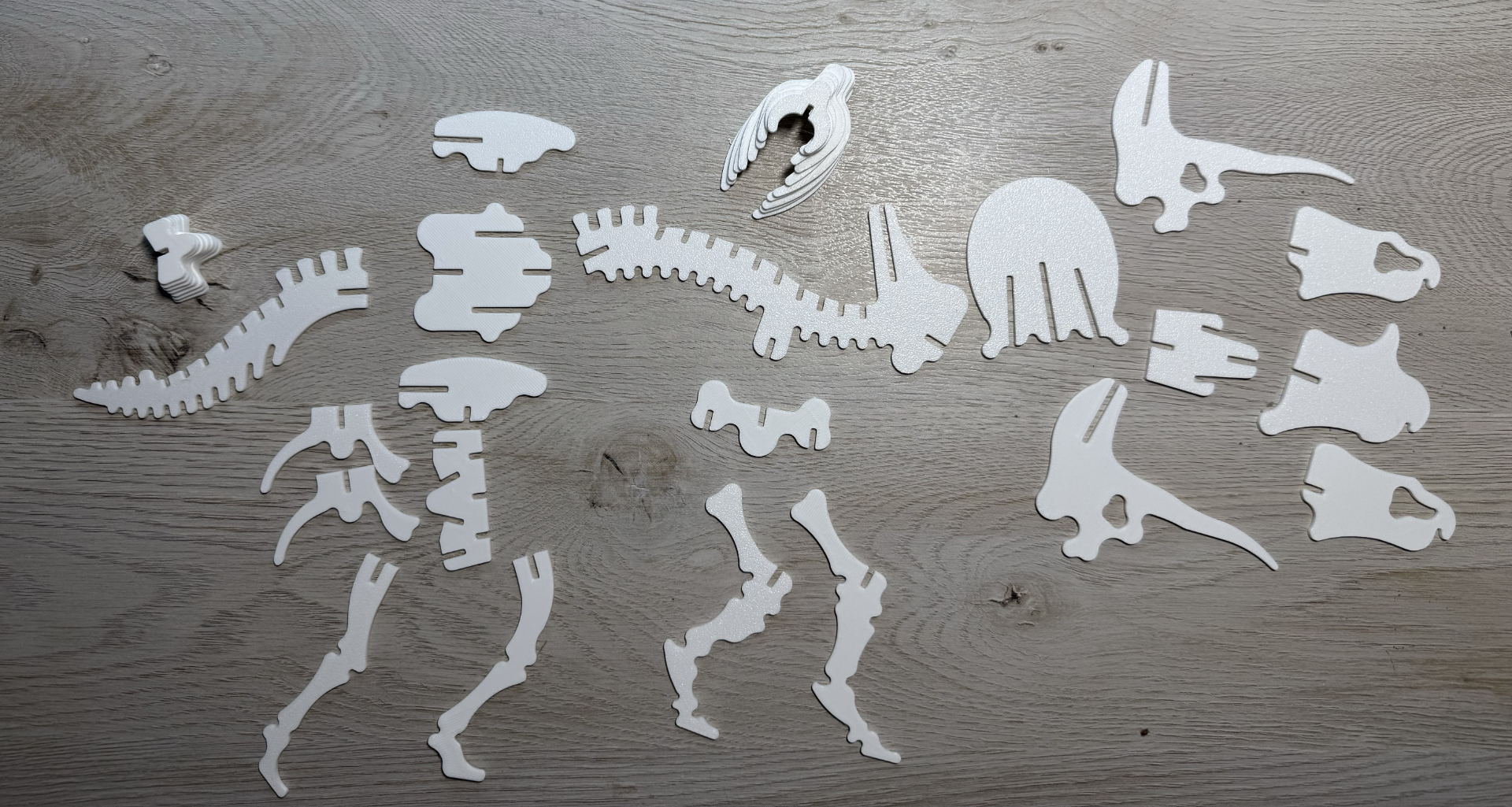 Triceratops Dinosaur Skeleton Puzzle
