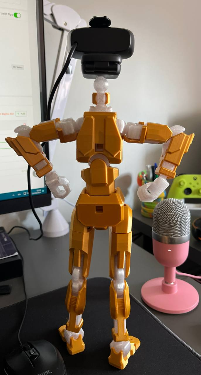 Dummy 13 Version 1.0, 256% scaled, webcam neck