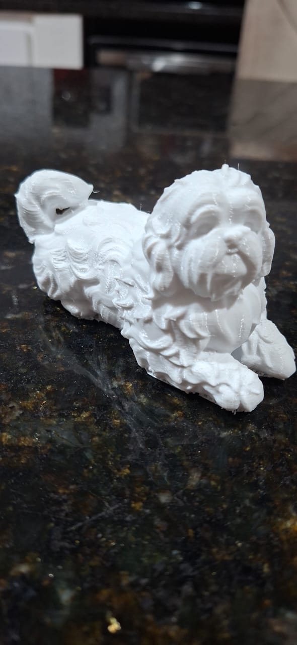 Shih Tzu cachorro