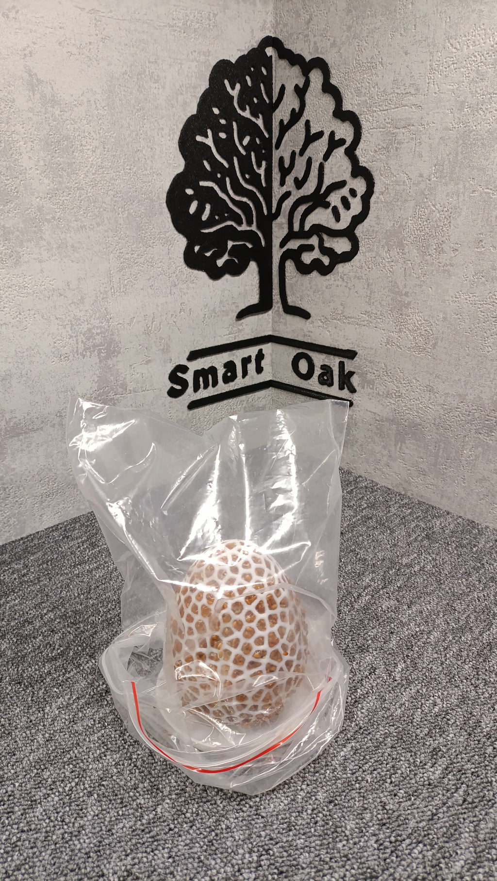 Easter egg for cress/Wielkanocne jajko na rzeżuchę