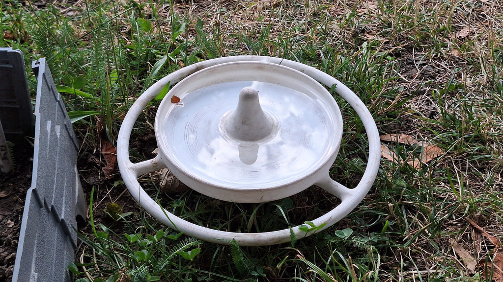 Simple Bird Water Bowl for Your Garden