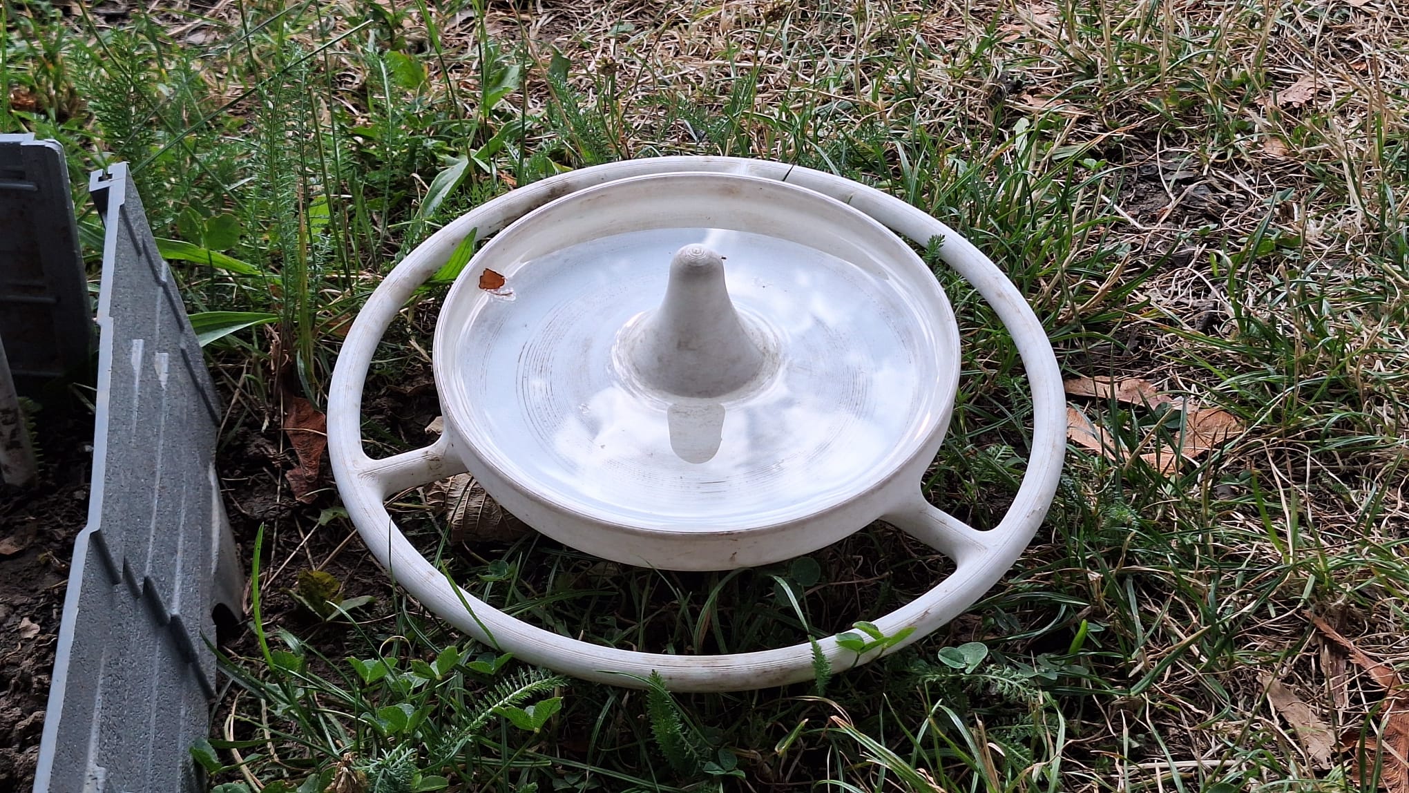 Simple Bird Water Bowl for Your Garden