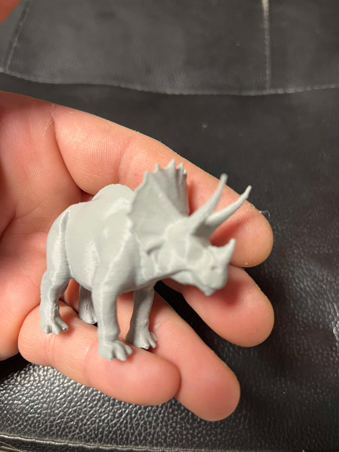 Triceratops dinosaur
