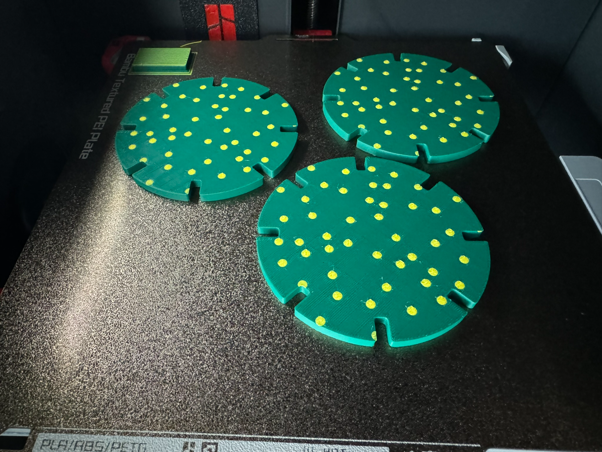 Cactus coaster/toy