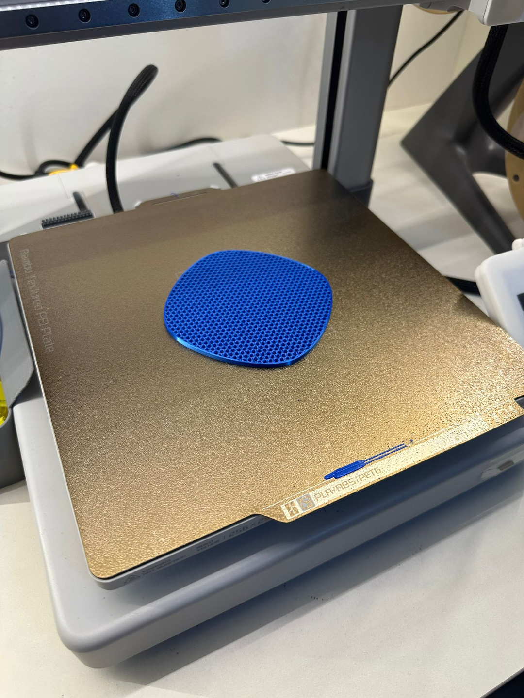 Customizable Coaster By Infill