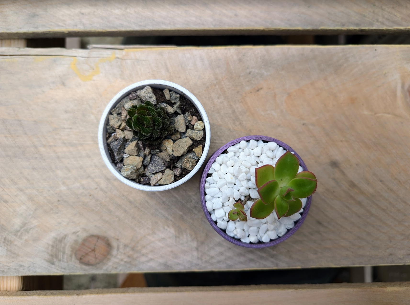 Mini Succulent Planter & Watering Can