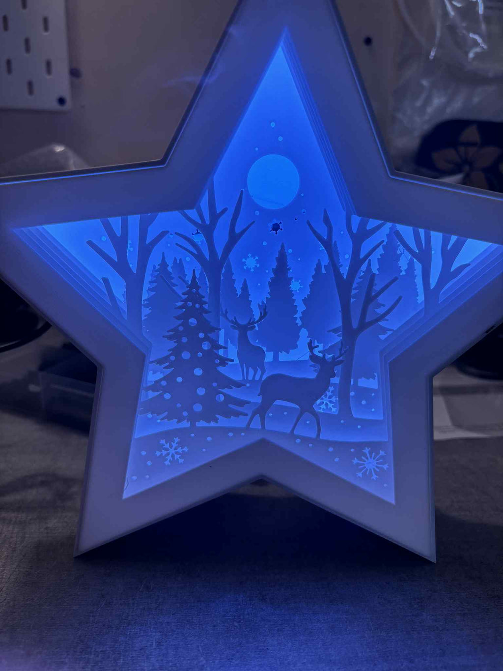 Etoile noël