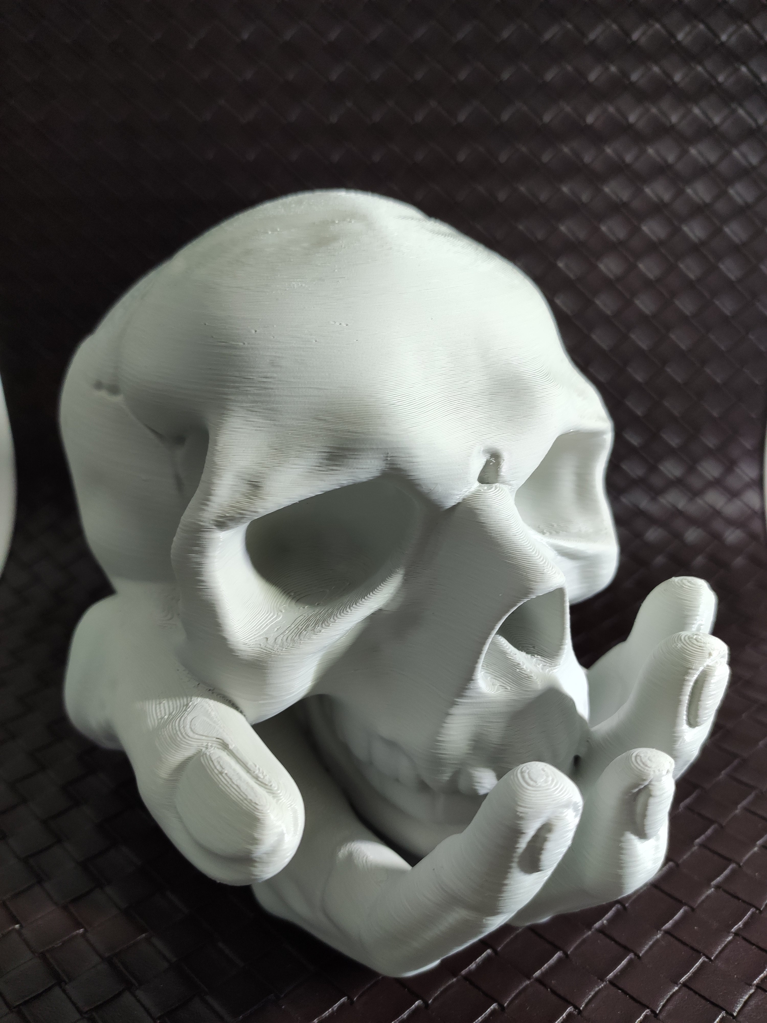 Skull in Hand - Coin bank / Piggy bank