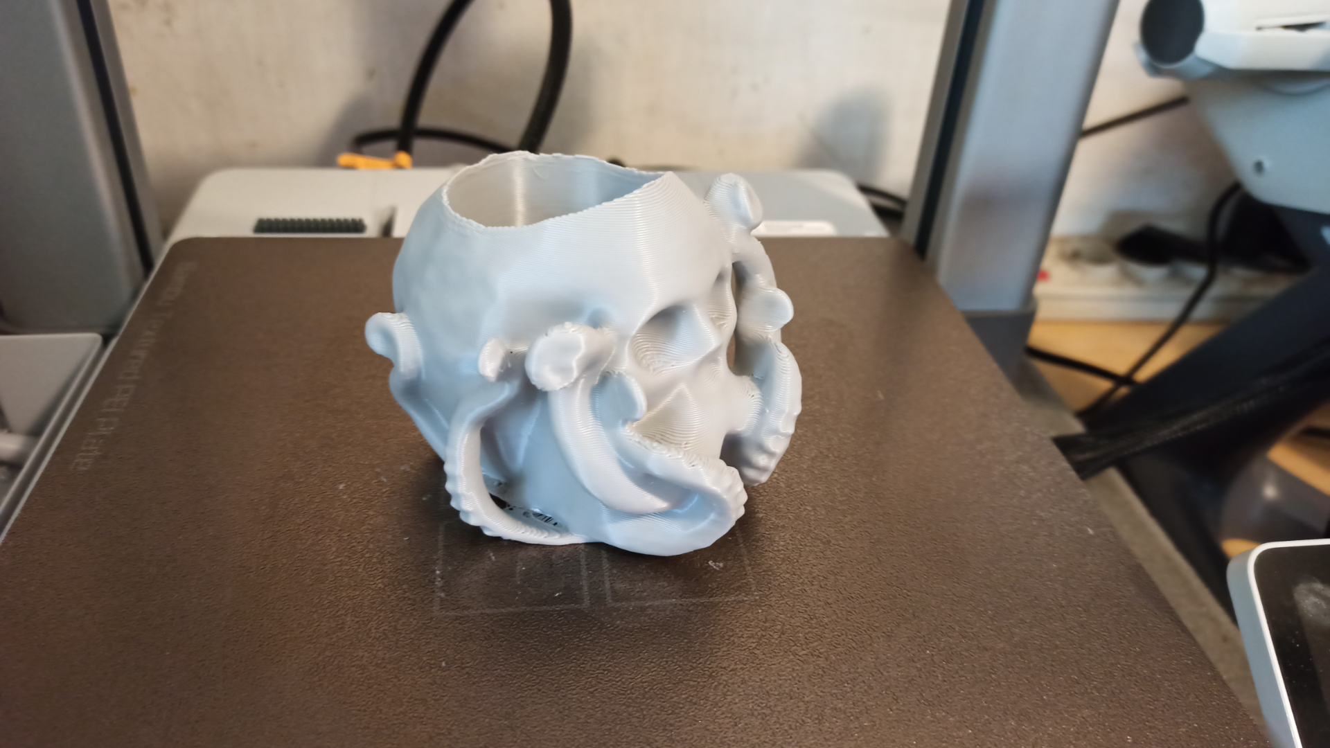 Octo Skull Mini Succulent Planter