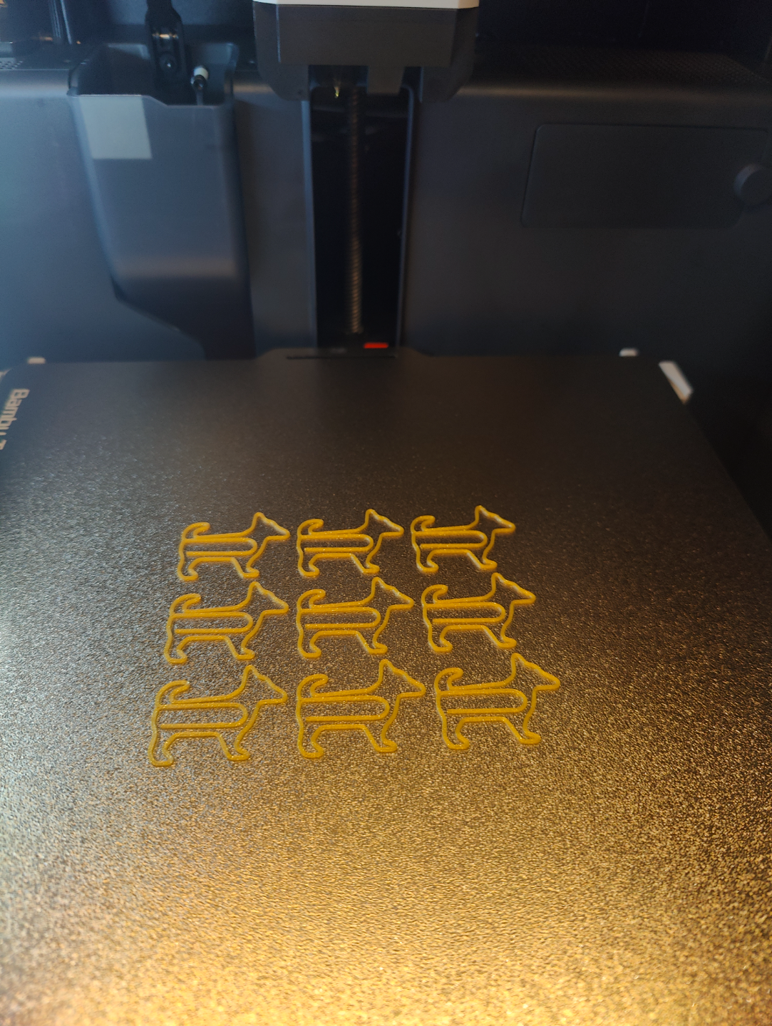 Fun Paper clips.