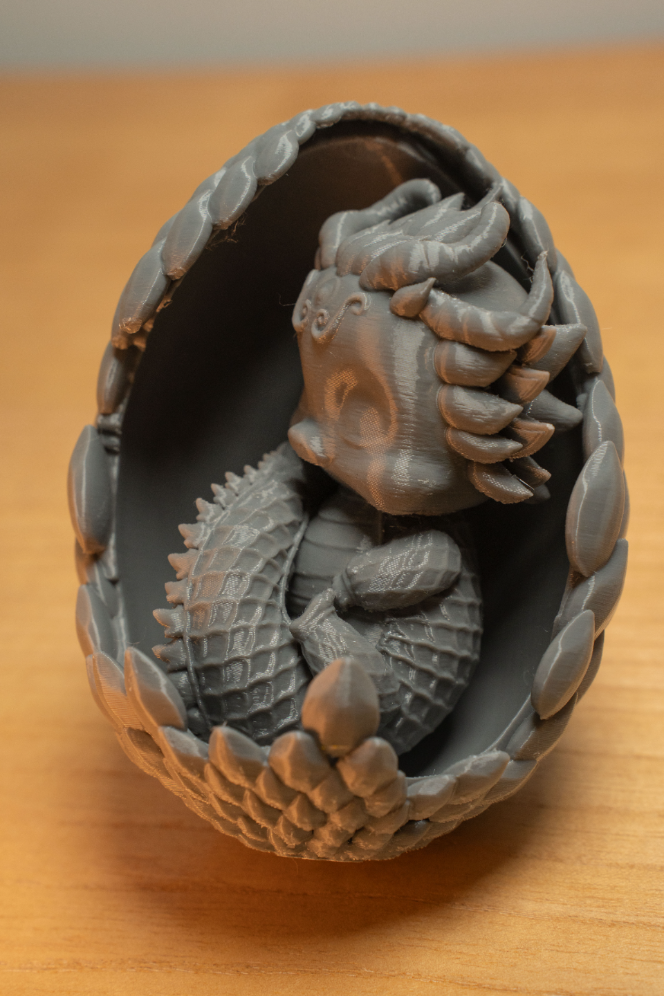 Sleeping Newborn Baby Dragon / 宝宝龙