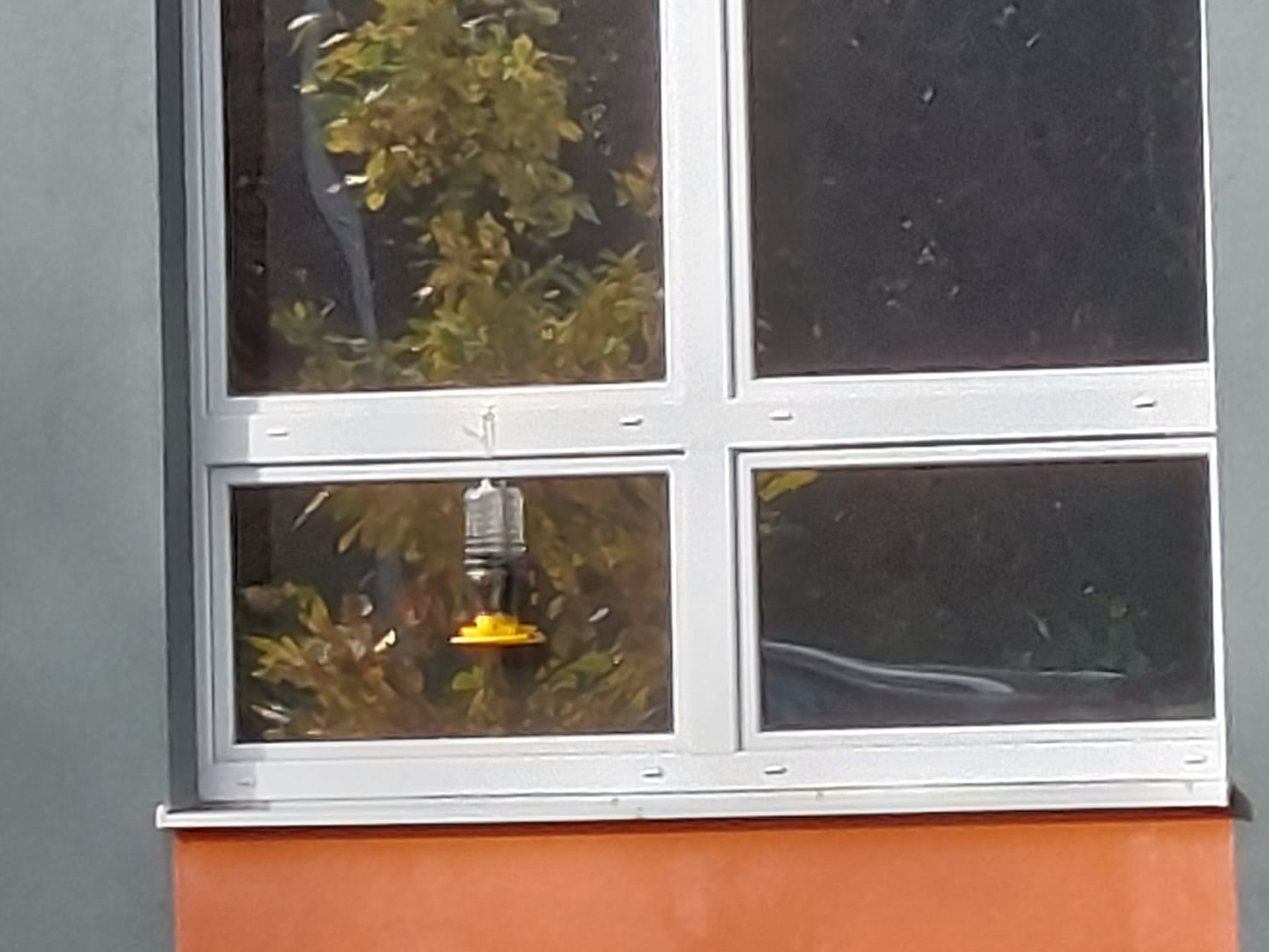 Window bird feeder for Cappy and Relax bottles