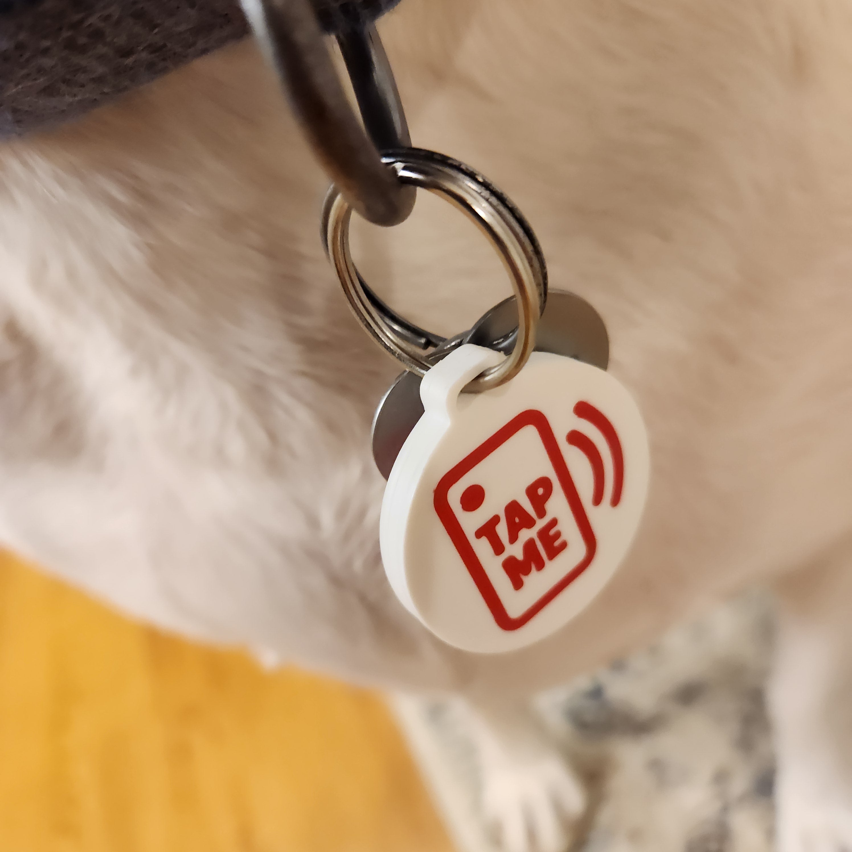 NFC Dog Tag 5 Dog Set for Commercial Use