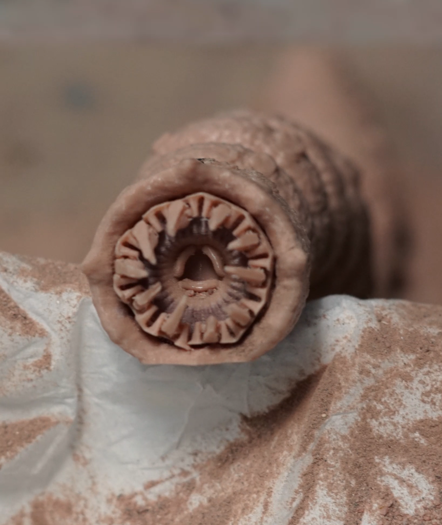 Dune Flexi Sandworm. Print in Place. Support Free.