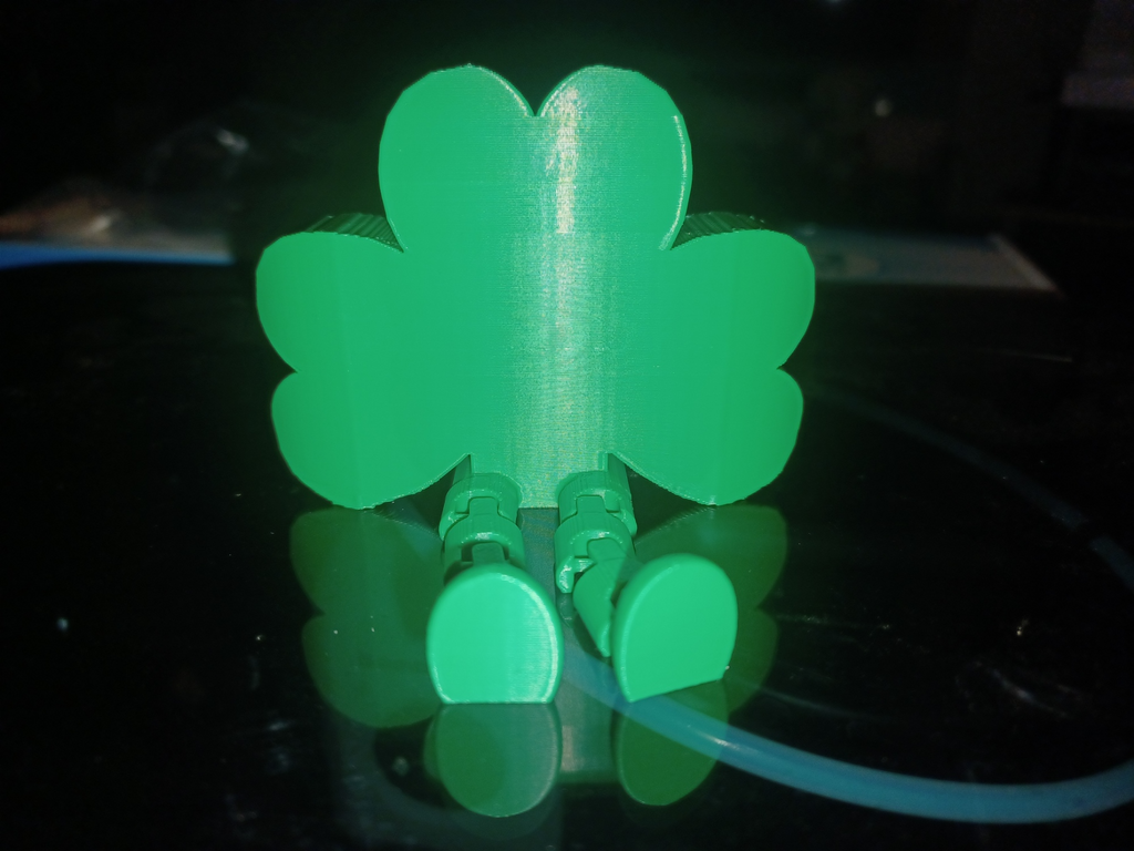 Lucky Shamrock Buddy