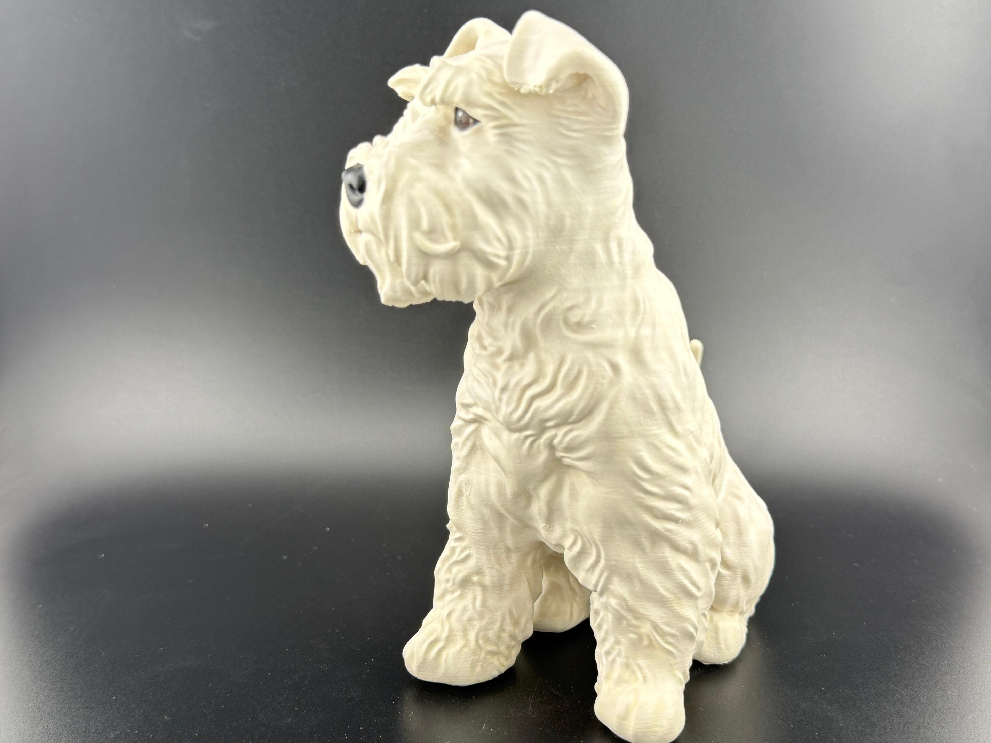Schnauzer (mini) 12cm