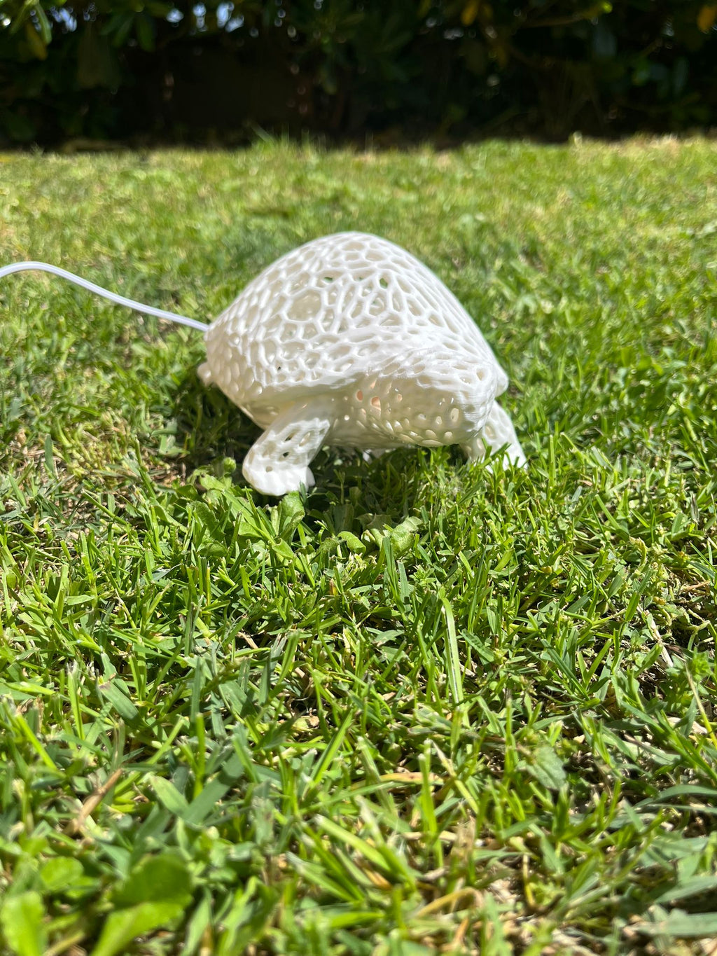 Lampada a forma di tartaruga