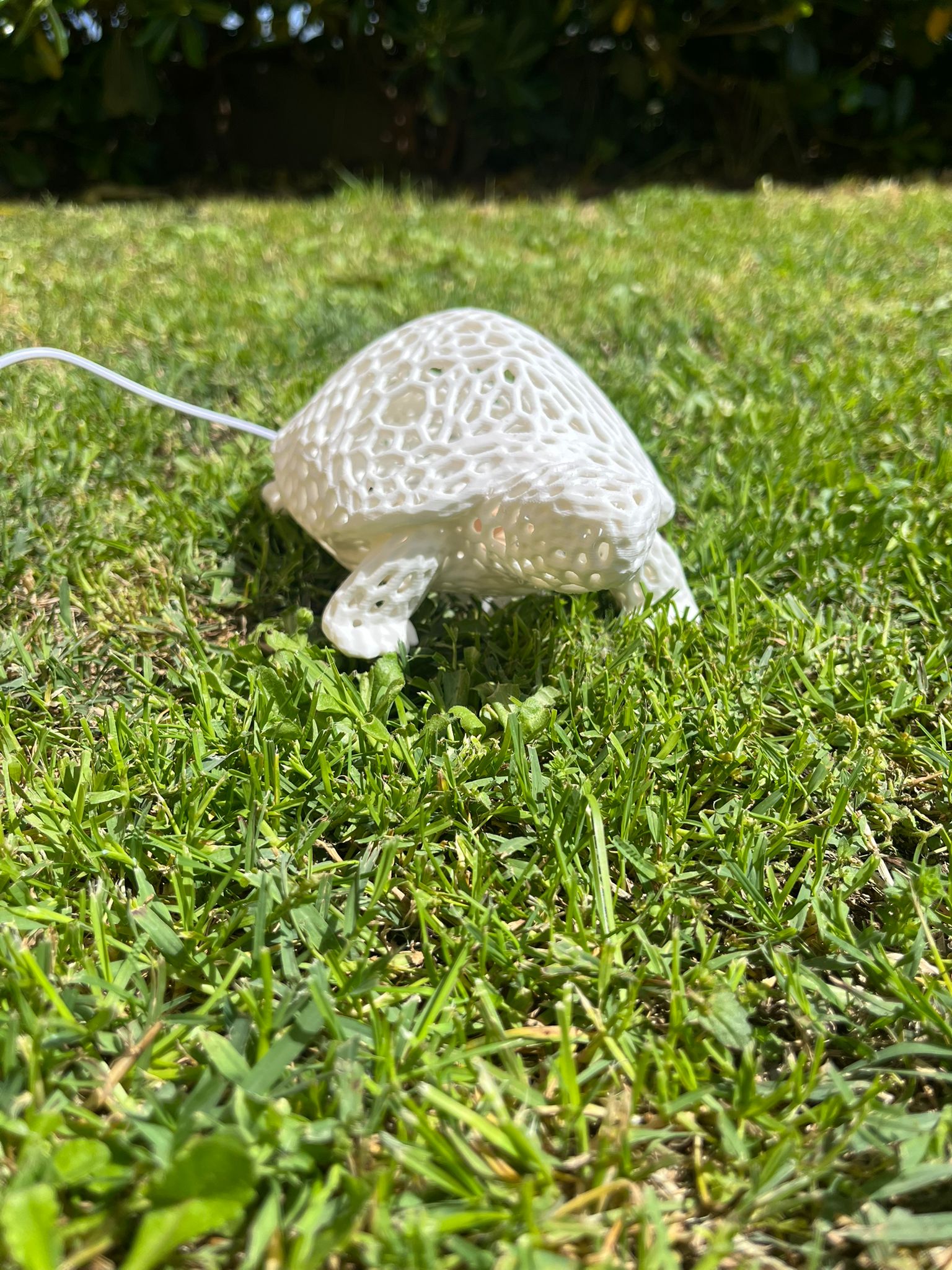 Lampada a forma di tartaruga