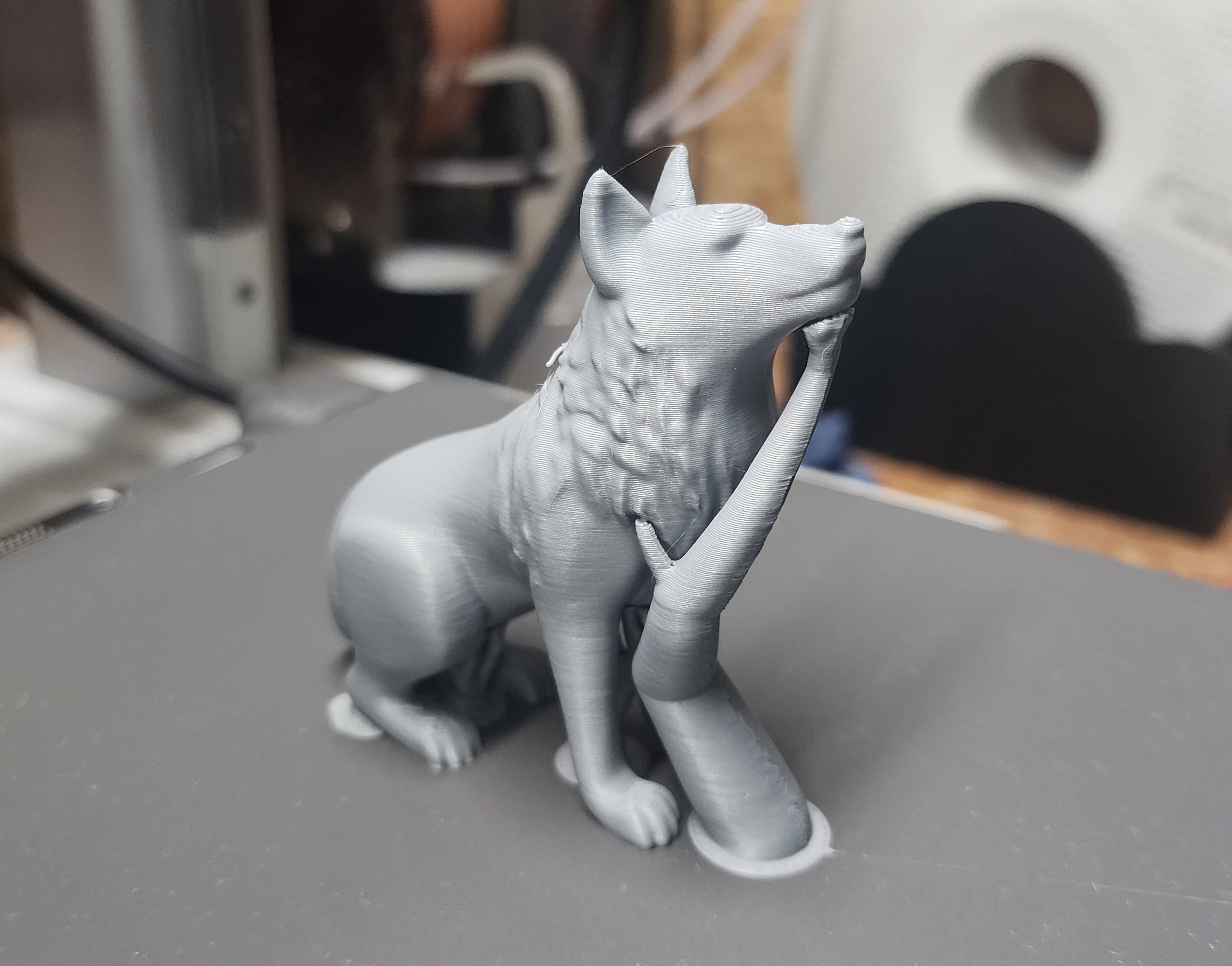 Seated Wolf