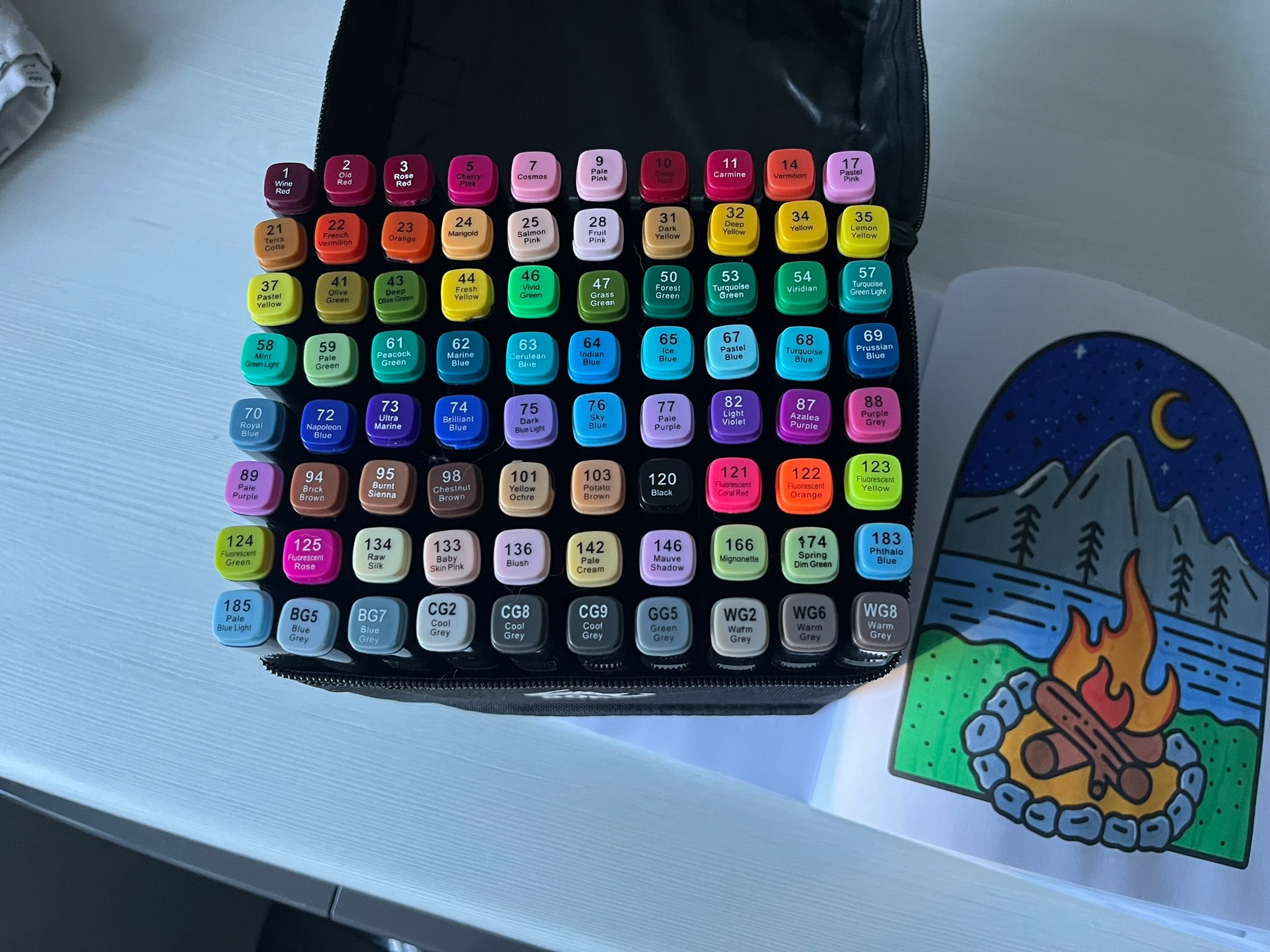TikTok 80pcs Colouring Pen Divider
