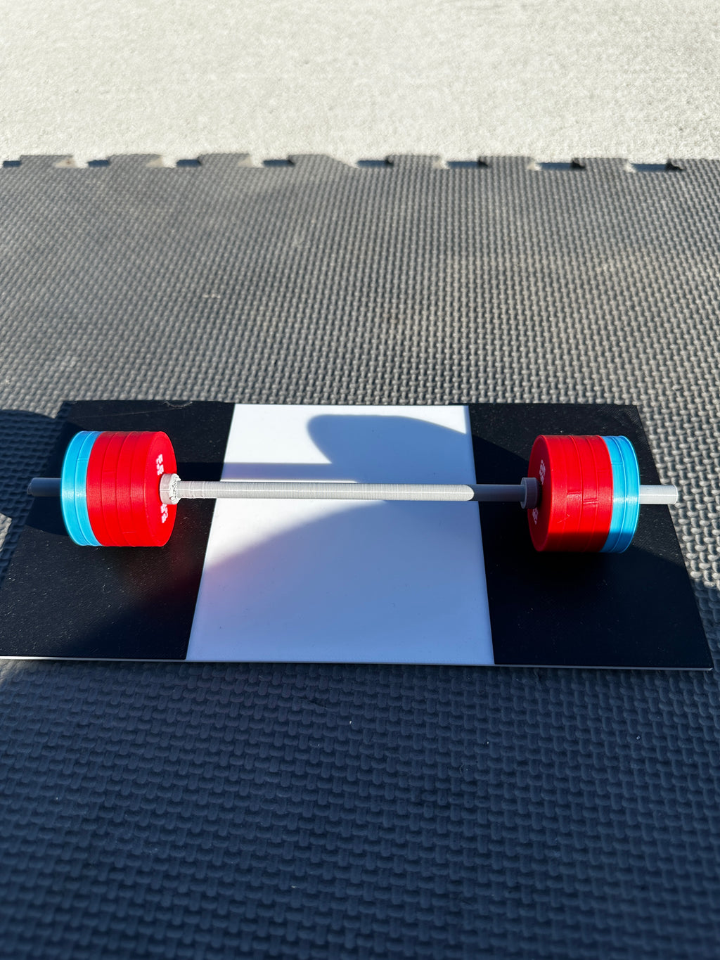 Mini Gym - Show PR's