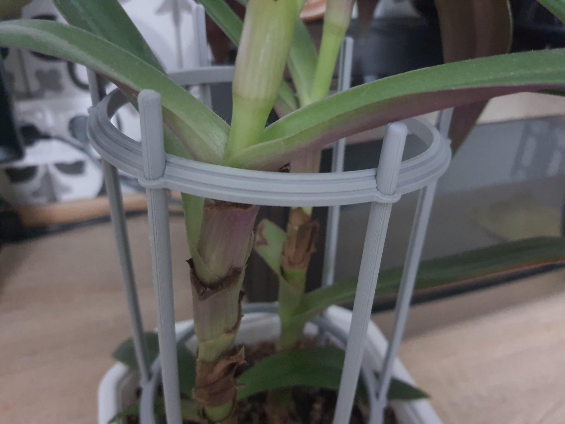 Parametric Plant Support