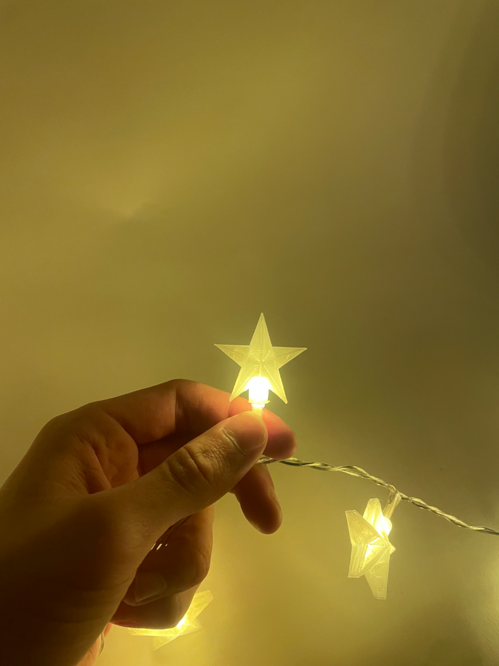 Star Christmas Light Covers