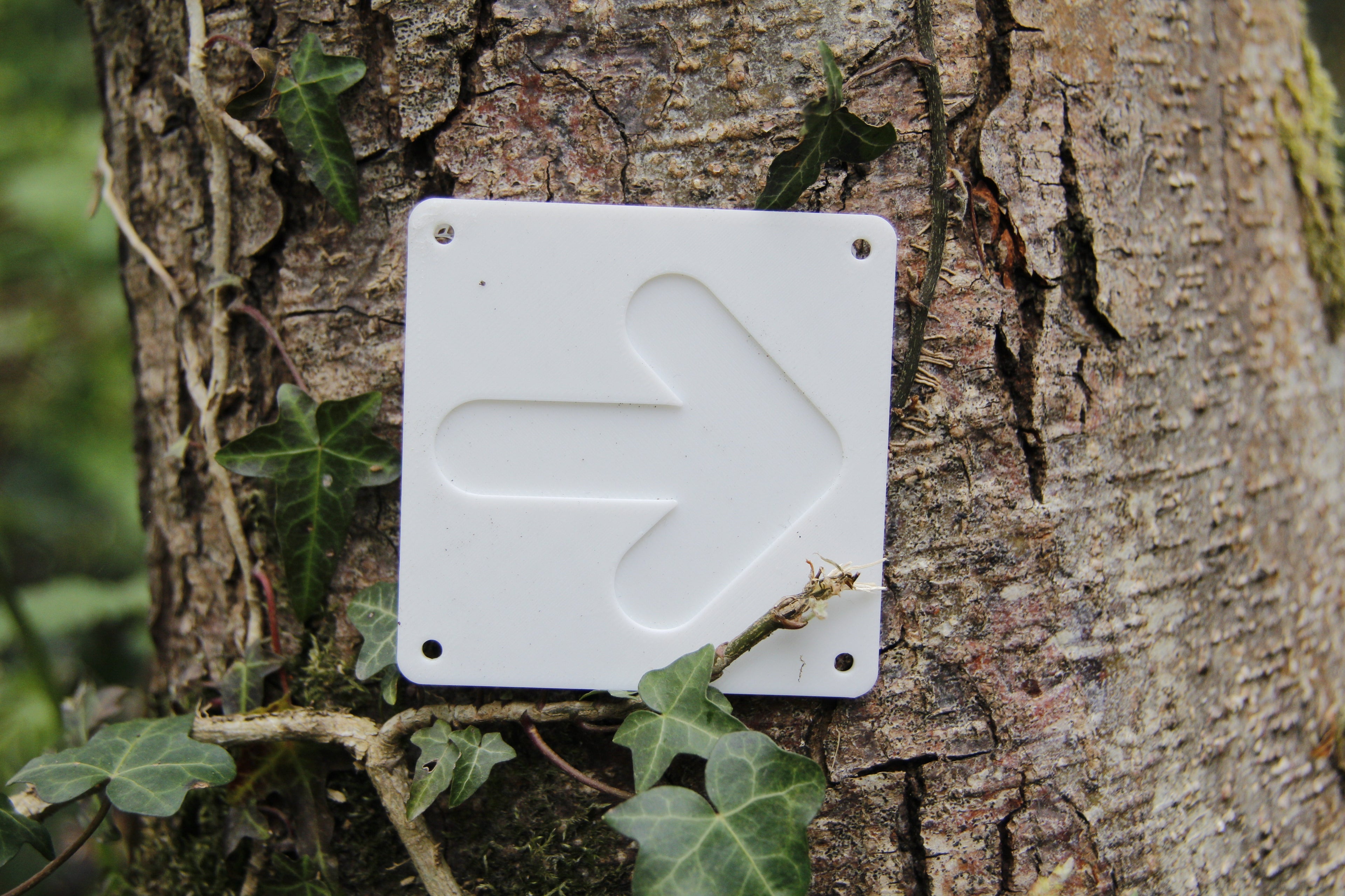 7 Different trail markers No ams+ams version