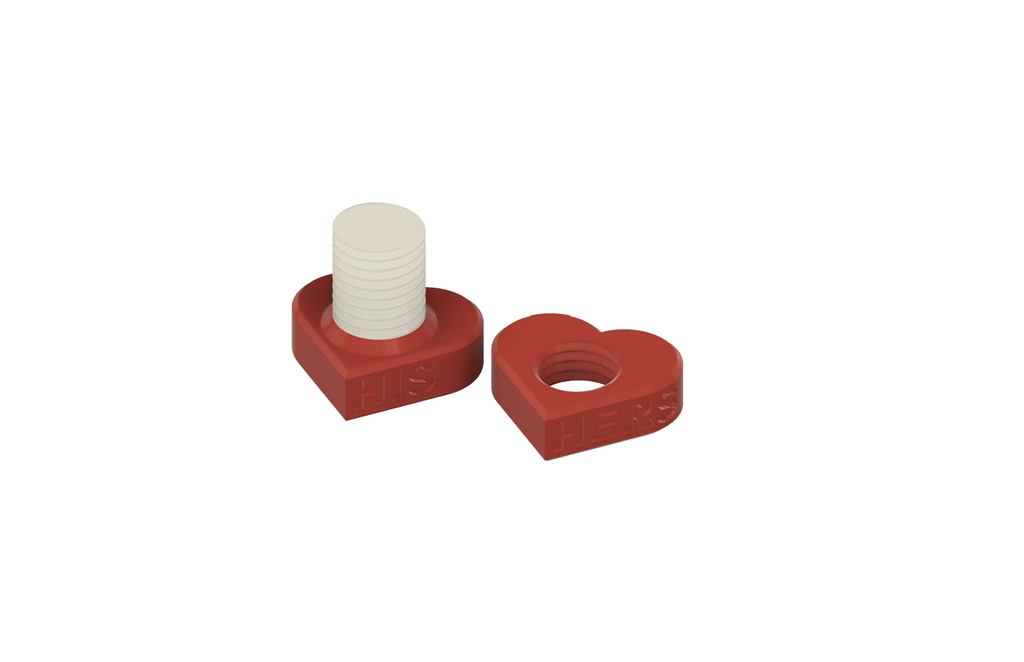 Valentine's Day heart-shaped bolt & nut couple